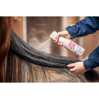 Bense & Eicke Soulhorse loves Lilis #Unique-Hair Spray 500ml Mhnenspray