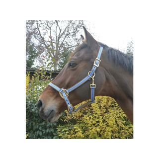 EKKIA EQUITHÈME Polyfun Halfter