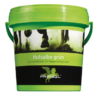 Bense & Eicke Parisol Hufsalbe grün