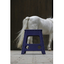 EKKIA HIPPOTONIC klappbarer Tritthocker Aufstieghilfe...
