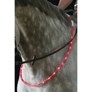 USG LED-Leuchthalsring fr Pferde Halsring aufladbar
