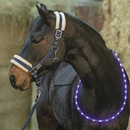 USG LED-Leuchthalsring für Pferde Halsring aufladbar weiß...